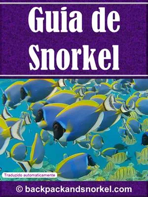 Snorkel Guide