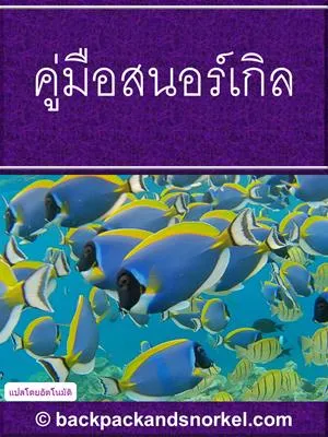Snorkel Guide
