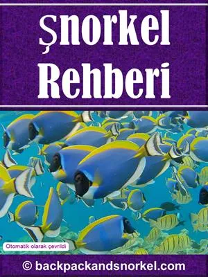 Snorkel Guide