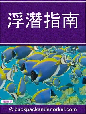 Snorkel Guide